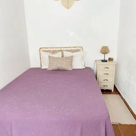 Charming House In Barao de Sao Miguel
