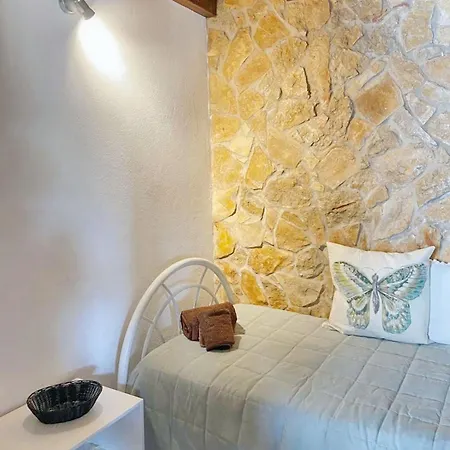 Charming House In Barao de Sao Miguel