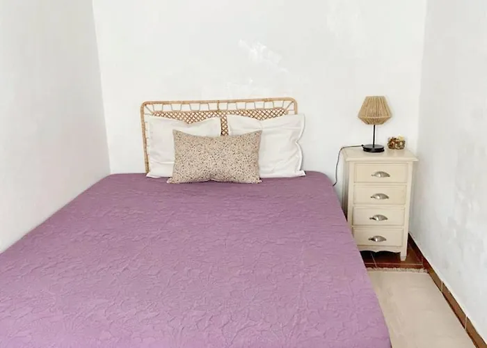 Charming House In Barão de São Miguel